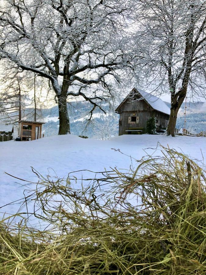 Lutzmannhof Villa Irdning Luaran gambar