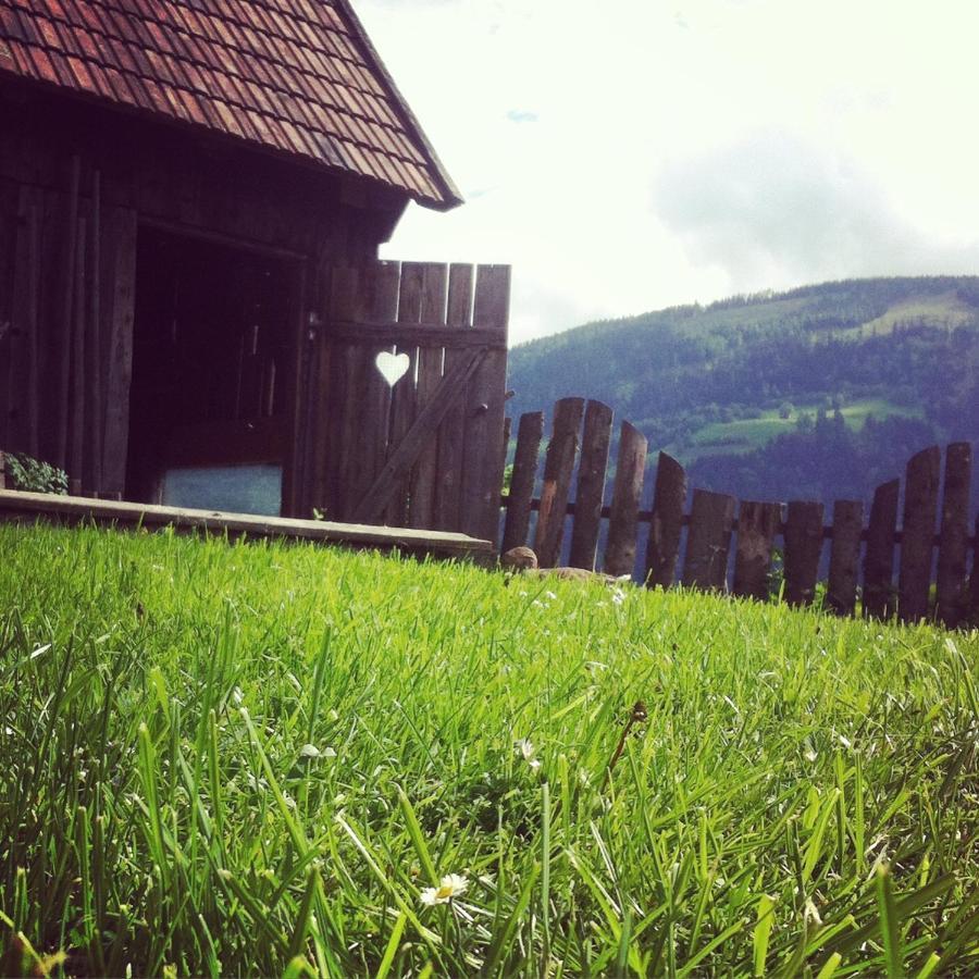 Lutzmannhof Villa Irdning Luaran gambar
